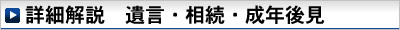 詳細解説　遺言・相続・成年後見